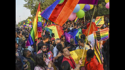 Delhi awash in rainbow colours amid queer gaiety
