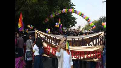 Delhi: Parade takes pride in legal status, but vows to fight on