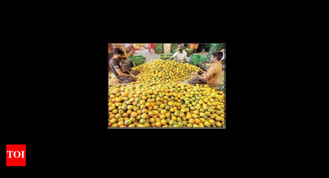 ‘Bumper crops only burdened farmers’ | Jaipur News - Times of India