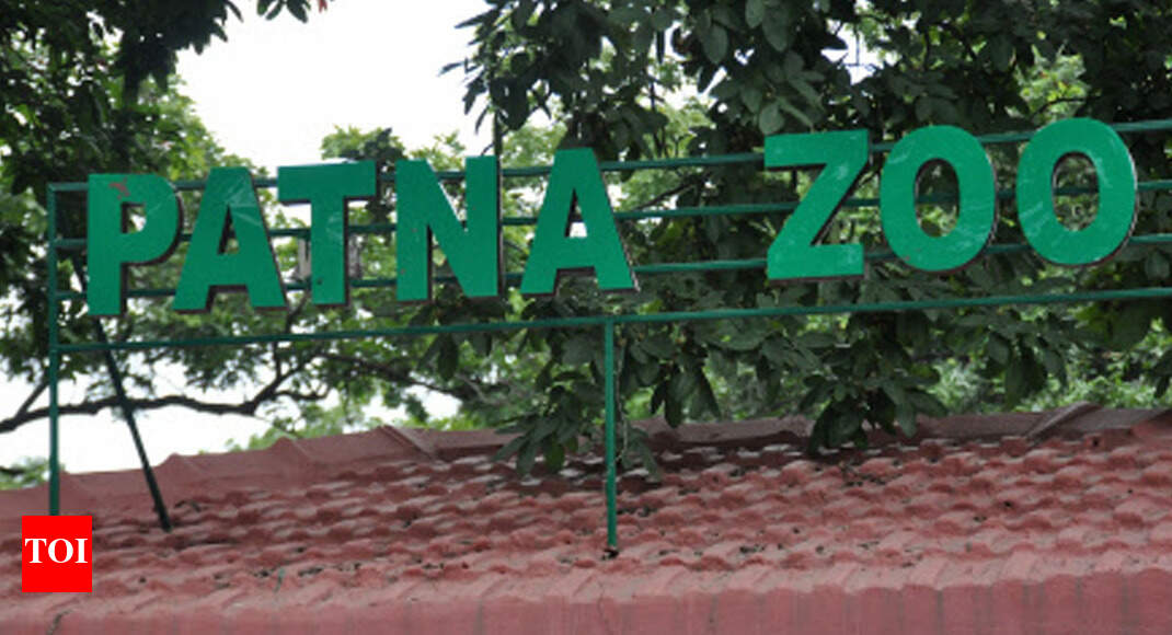 Patna zoo to new inmates by Decemberend Patna News Times