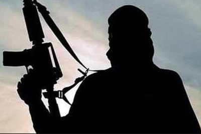 Two Hizbul terrorists killed in Pulwama encounter