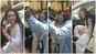 Sara Ali Khan steps out of car to get clicked with fan 