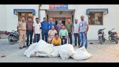 Rajkot: 73 kg ganja seized; ganja cultivation found