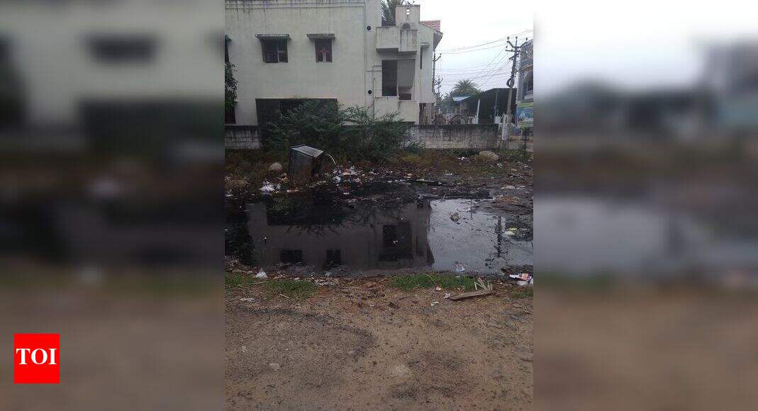 mosquito breeding area Times of India