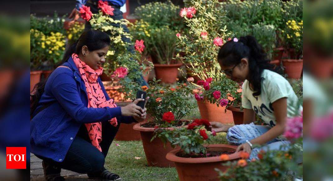 5,000 plants to be on display at Hislop flower show Nagpur News