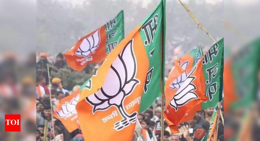 BJP corners 95% of the electoral bonds pie | India News - Times of India