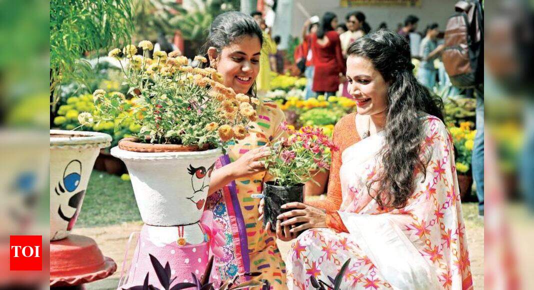 Seasonal flowers in full bloom at Hislop Nagpur News Times of India