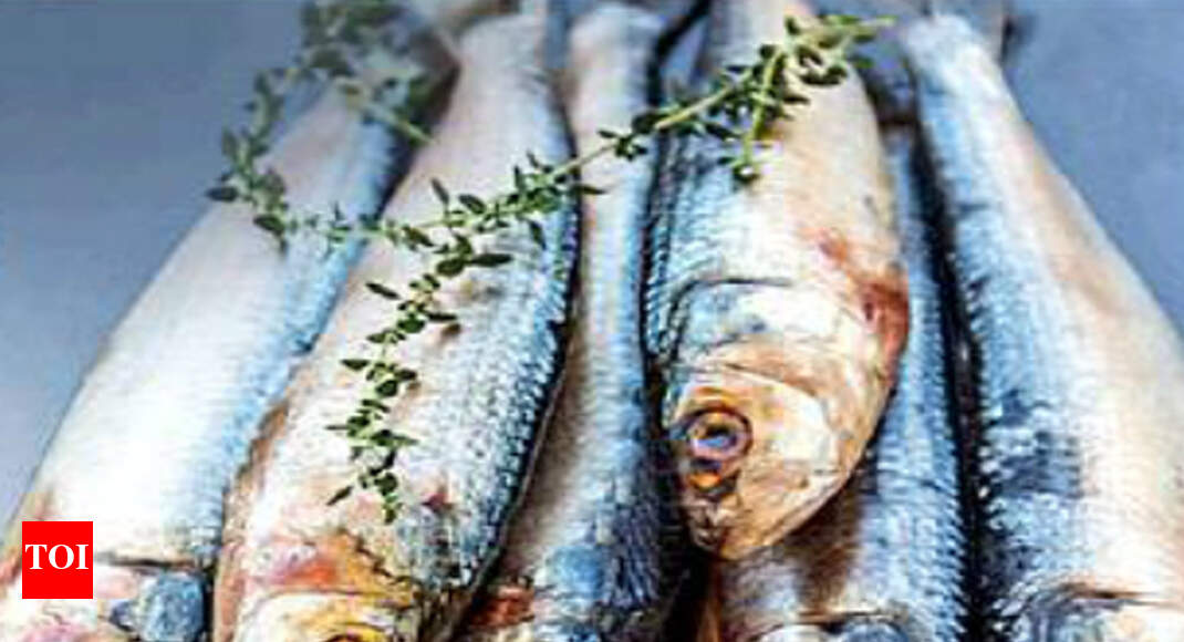 Fish Sardine boom and bust fuels steps for conservation Mumbai News