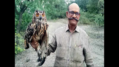 As poll dance peaks in Telangana, owls disappear from Karnataka