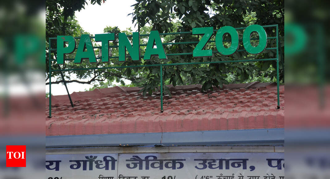 Steps to protect Patna Zoo inmates from cold Patna News Times of India