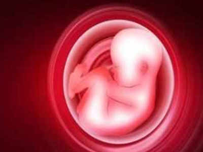 Spouses of pregnant women can be jailed for fetus sex test | Chennai