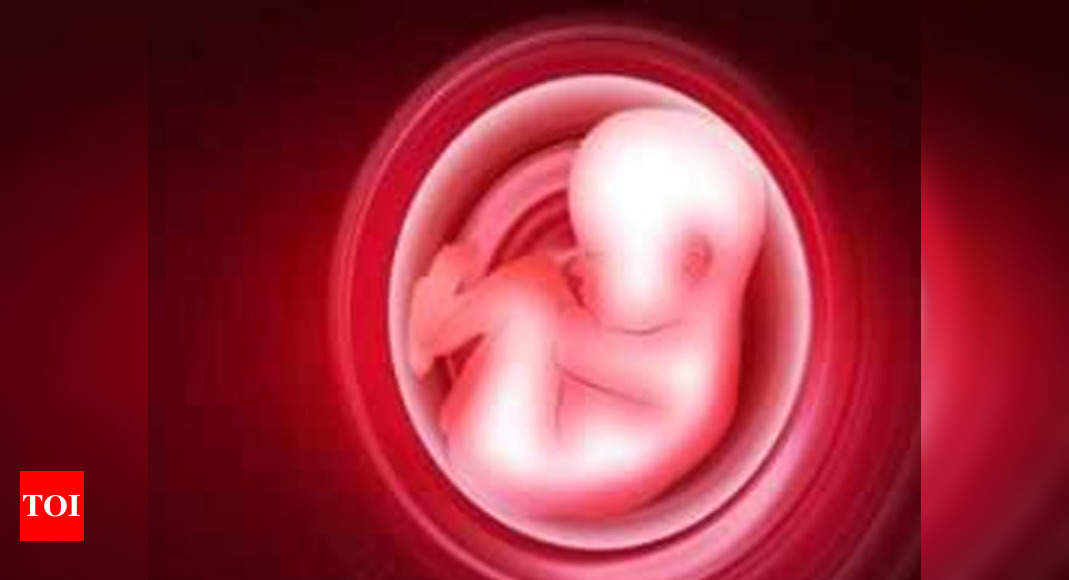 Spouses Of Pregnant Women Can Be Jailed For Fetus Sex Test Chennai
