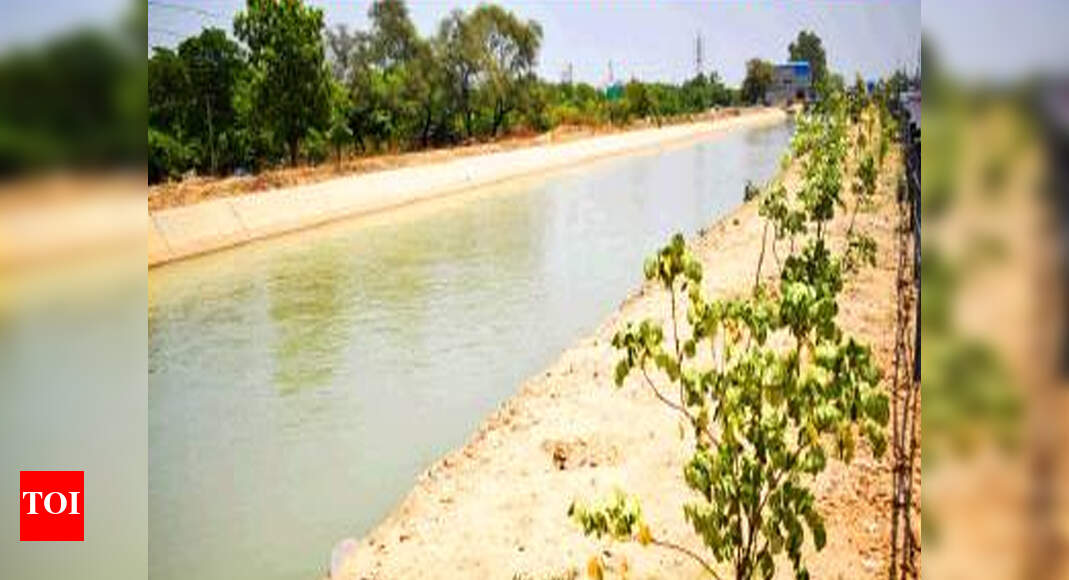 Punjab to get third international airport soon Ludhiana News Times