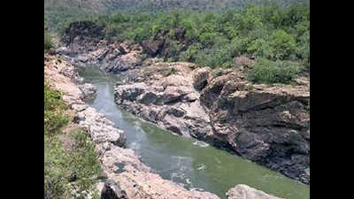 CWC acted in haste over Mekedatu dam, says Tamil Nadu