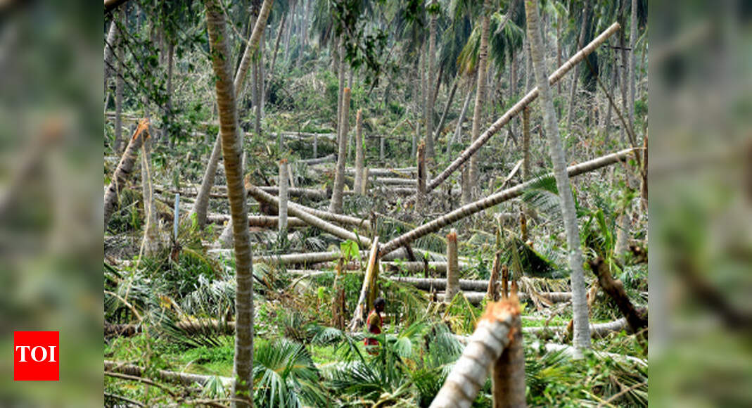 Experts begin inspection in Gaja-hit districts | Trichy News - Times of ...