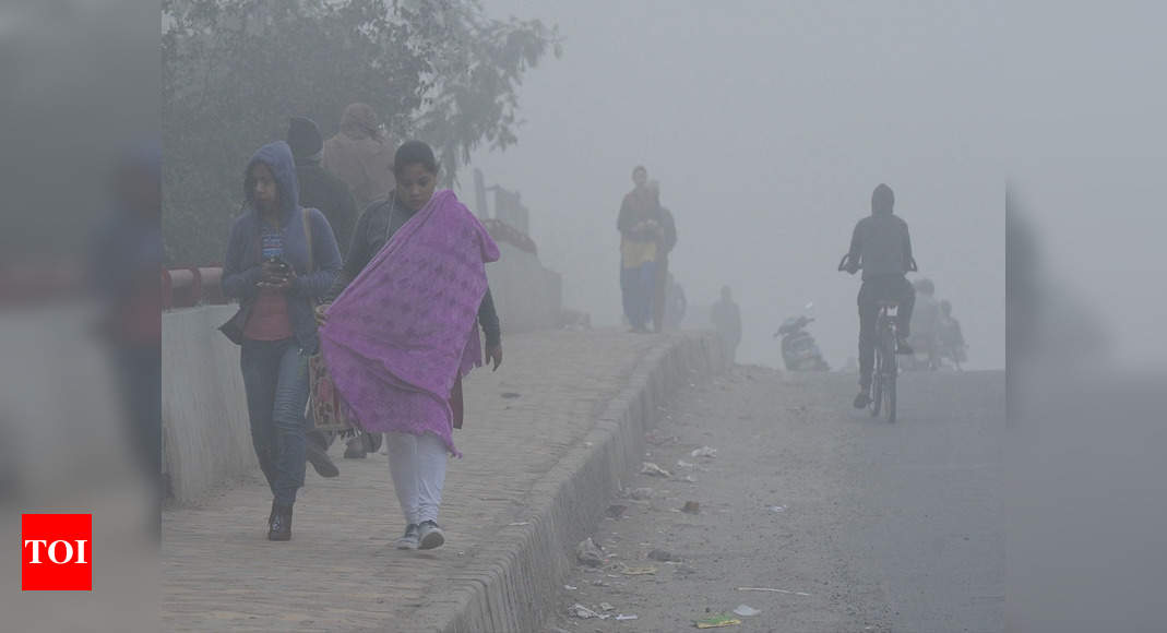Delhi records coldest day of season at 8.4 degree Celsius Delhi News