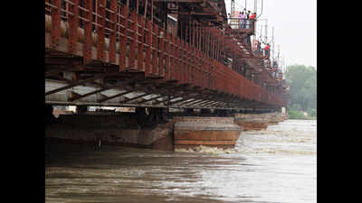 NEERI to help govt tap Yamuna floodwater