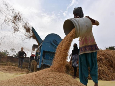 Cabinet approves policy to double agri export by 2022