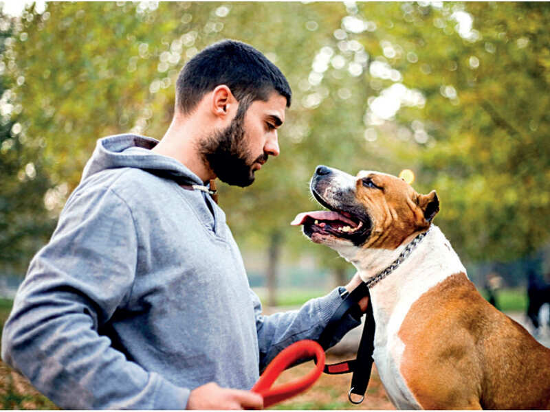 a dog trainer