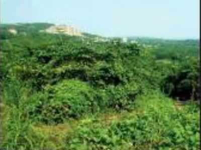 Mumbai gets first 250m vehicle test track in Aarey, greens see red