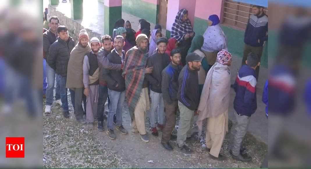 Voting For Panchayat Polls Underway In Jammu & Kashmir | India News ...