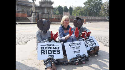 Start 2019 with the end of elephant rides, appeals PETA India founder in Jaipur
