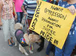 Gay pride march held in Bengaluru