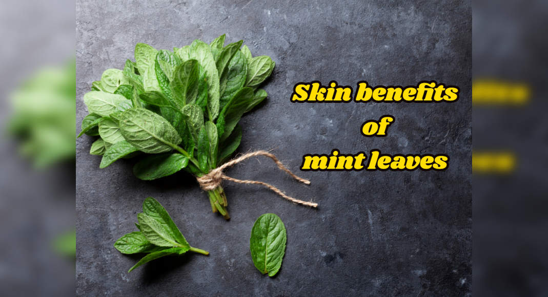 Mint Leaves Have Soothing Benefits For Irritated Skin