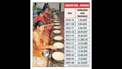 Food habits cause a drop in jowar cultivation