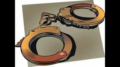 2 held for molesting woman