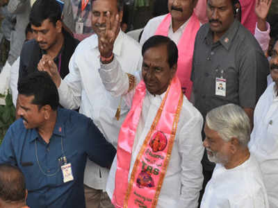 Two independent candidates to support TRS