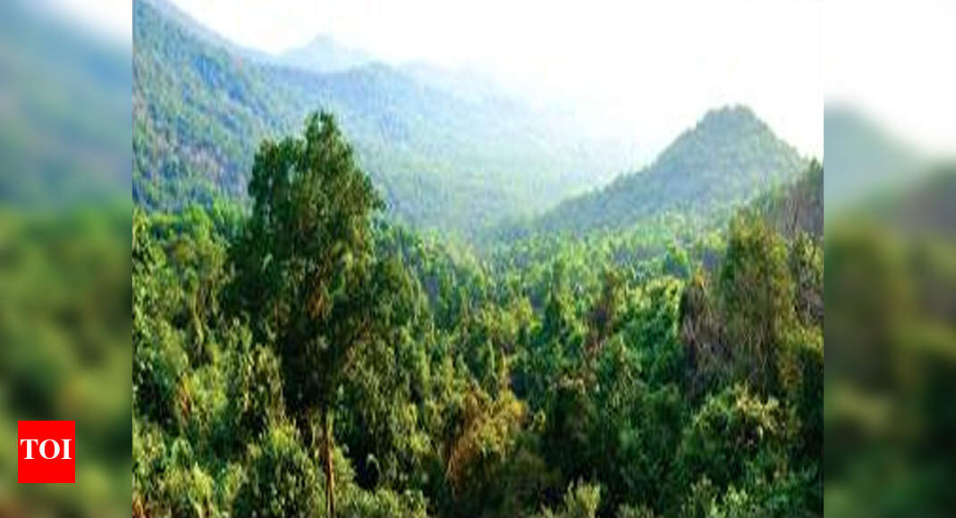 Canacona locals for more protection to Western Ghats | Goa News - Times ...