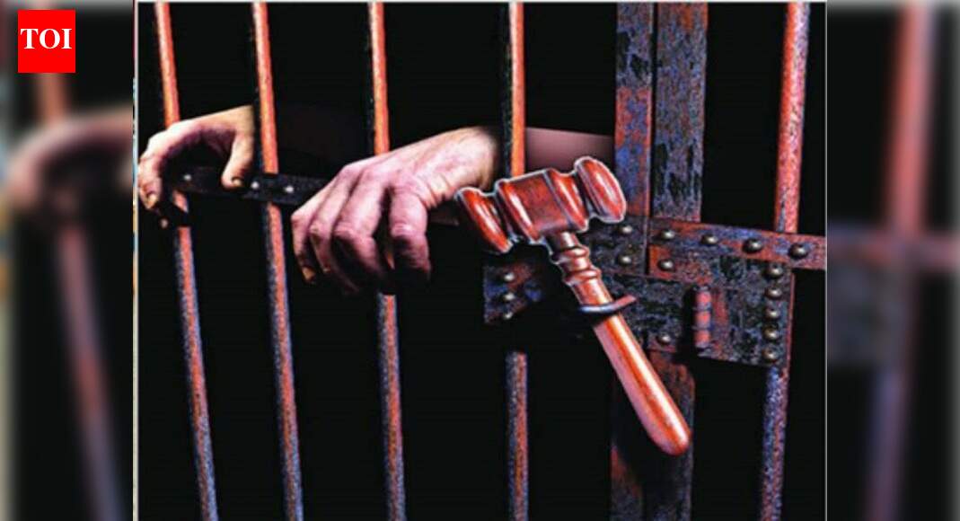 Indian techie sentenced to nine years in prison for sexual assault ...