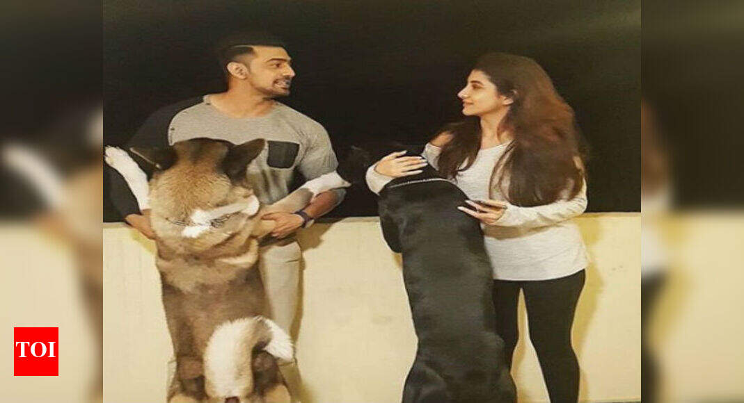 Cuteness overloaded! Dev and Rukmini pose with their pooches | Bengali ...