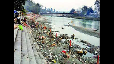 'Mention steps taken to clean Ganga'