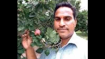 Telangana farmer replicates the famed apple orchards of Kashmir in ...