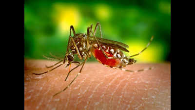 5 districts pulled up for not reporting dengue cases regularly