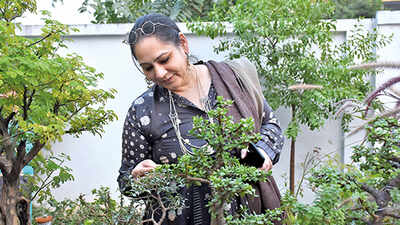Lucknowites learn the art of managing bonsai
