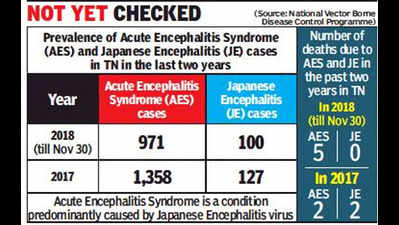 4 cases of Japanese encephalitis detected in Nagapattinam since November