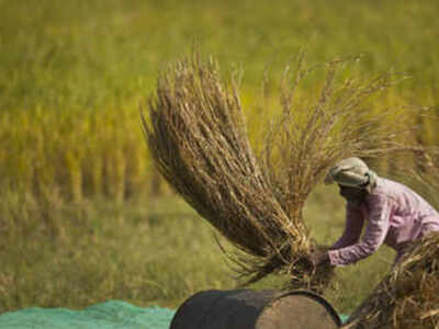 MP farm loan NPAs surge 24% on loan waiver promises