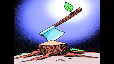 Tree felling: Railway officials to take action against advertisement firm