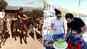 Taimur riding little white horse is the cutest thing you will see on internet today