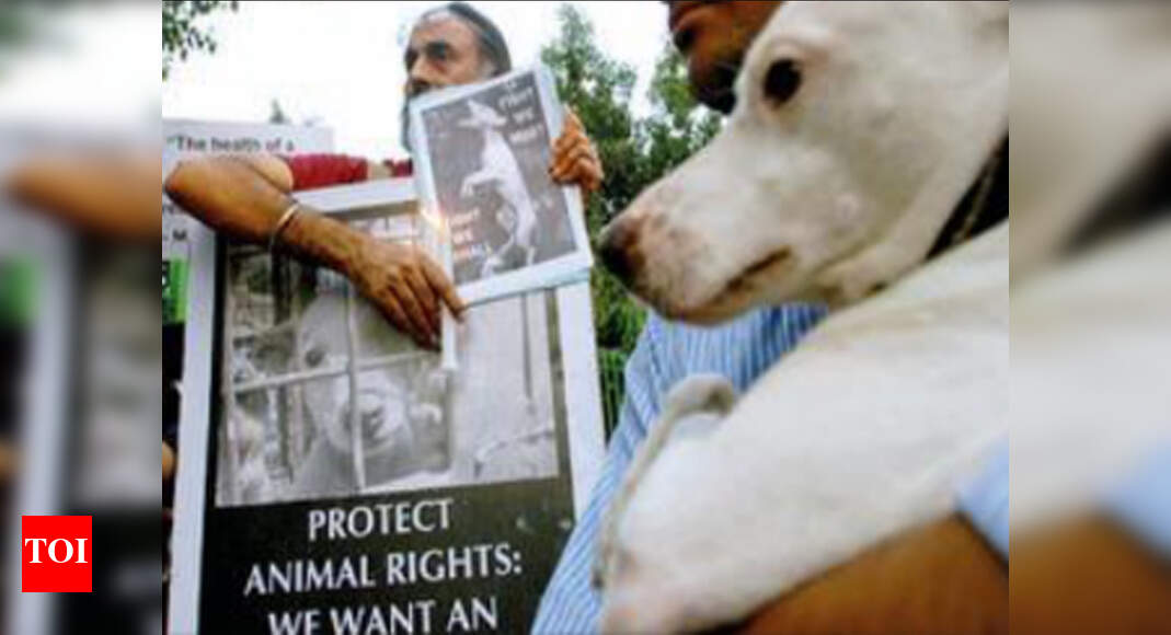 HC asks Delhi government to answer plea on illegal dog breeding Delhi