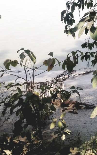 River bank pollution, Princep Ghat
