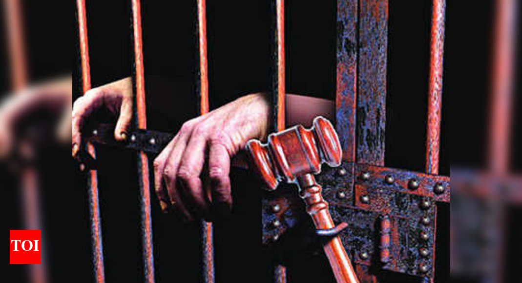Man sentenced to life for murder of his wife | Mysuru News - Times of India