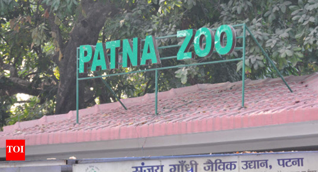 Patna Zoo closed after 6 peafowls die Patna News Times of India
