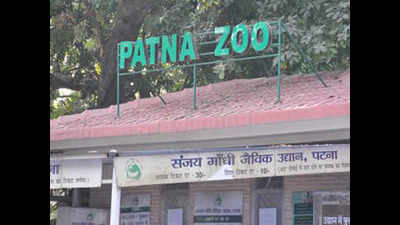 Jharkhand zoos on alert following bird flu outbreak in Patna