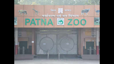 Patna zoo shut after bird flu kills six peafowls in 10 days