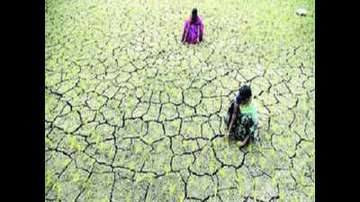 CM Vijay Rupani declares Rs 2,285-crore aid for farmers