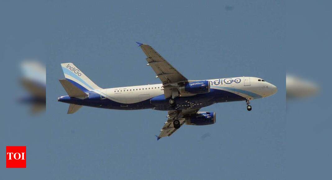 Indigo worst performing airline for consumers; Air India's luggage